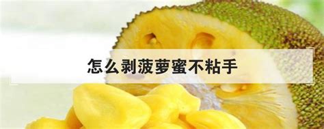 剥完菠萝蜜怎么清理手上的胶 清洗菠萝蜜树胶的四种方法