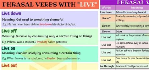 live是什么意思？