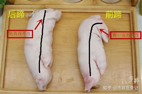 猪前脚好还是后脚好 猪前蹄和后蹄的5个特征