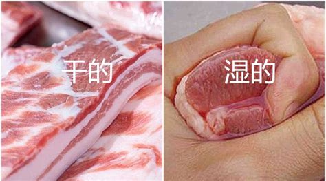 后丘肉是什么肉 买猪肉这5块肥的不错